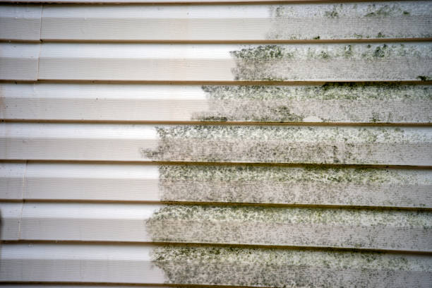 Best Demolition Debris Removal  in Keokuk, IA
